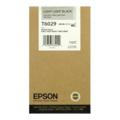 Epson T6029 (T602900) Light Light Black Standard Capacity Original Ink Cartridge