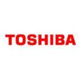 Toshiba TB310 Original Bag Waste