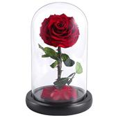 Preserved Real Rose in Glass Dome as Gift Box